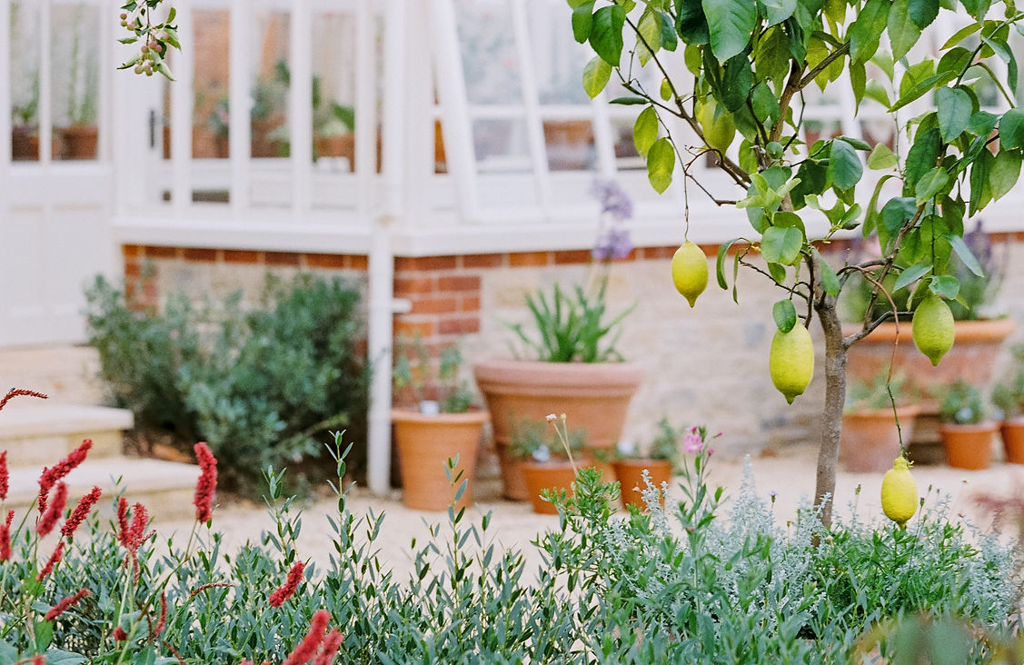 Prebendal-House-emingham-analogue-film-Gina-Dover-Jaques-Photography- July 2025 13.jpg