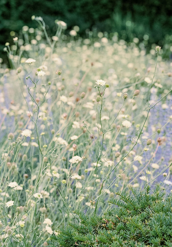 Prebendal-House-emingham-analogue-film-G