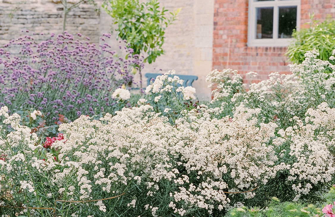 Prebendal-House-emingham-analogue-film-Gina-Dover-Jaques-Photography- July 2025 45.jpg