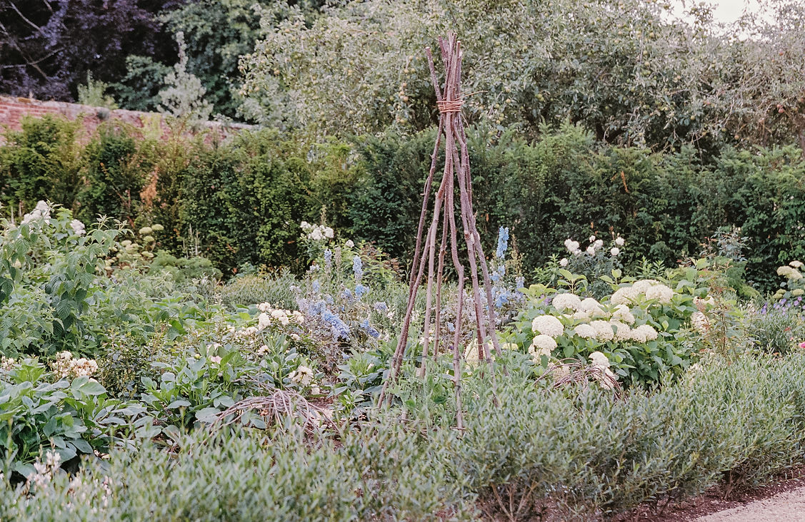 Prebendal-House-emingham-analogue-film-Gina-Dover-Jaques-Photography- July 2025 38.jpg