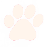 Cream Paw Print.png