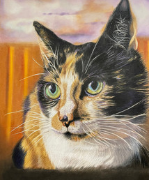 Grid Cat 2.jpg
