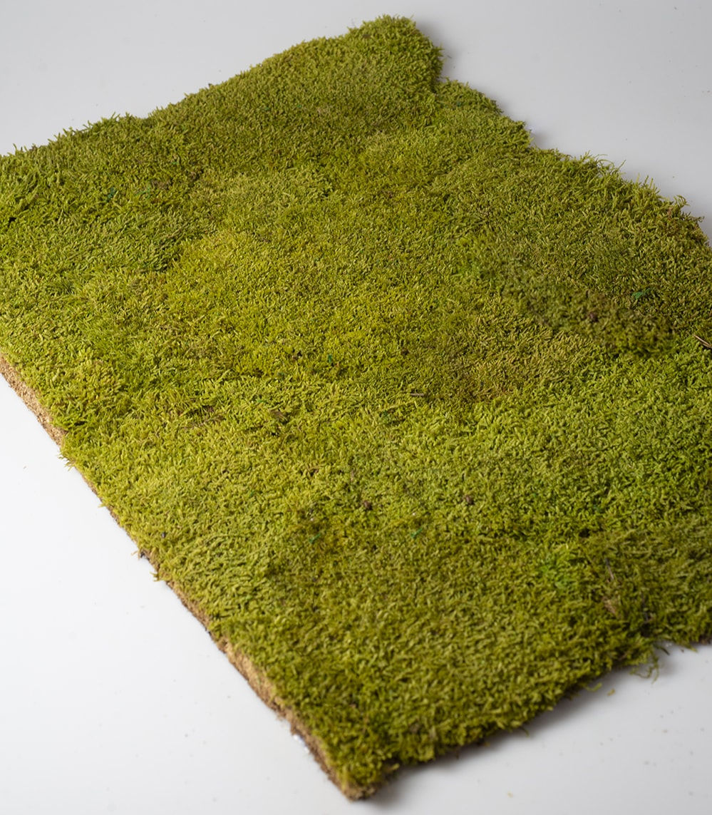 Premium Koyu Sarı Kara Yosunu