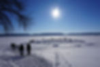 Winter in Stockholm