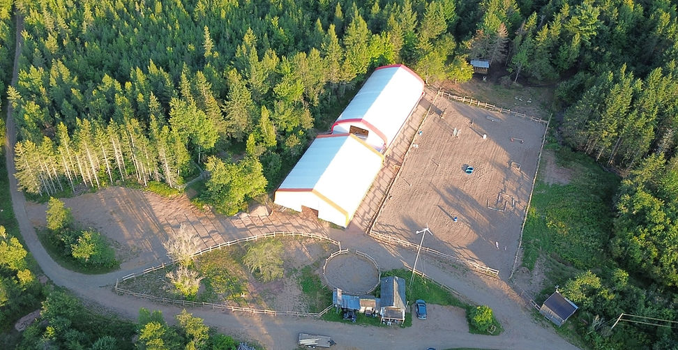 drone shot of horse park