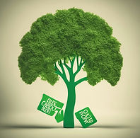 reduce carbon footprint .jpg