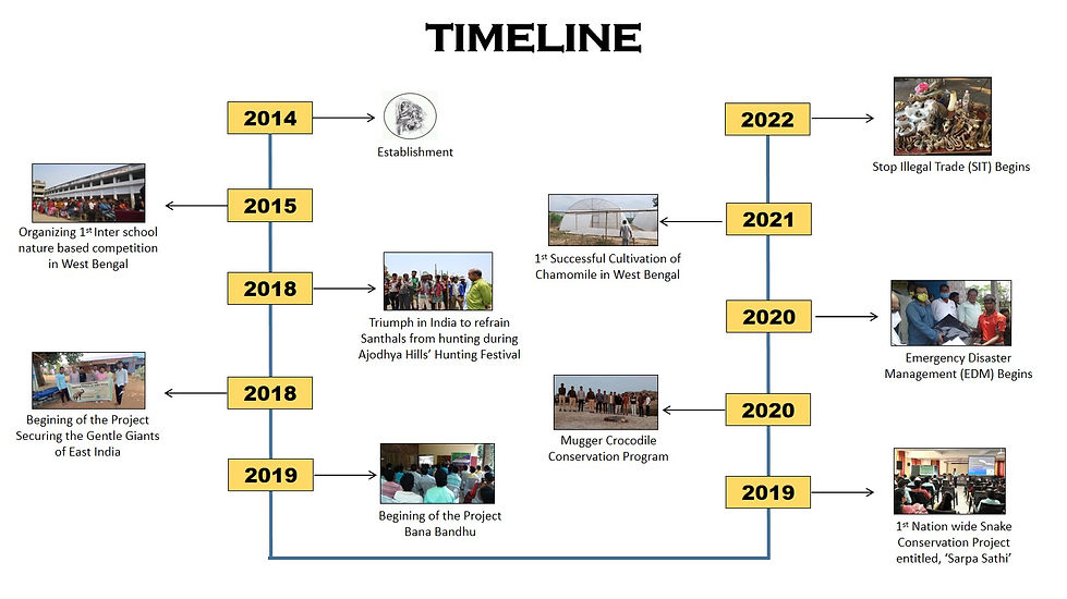 Slide8.jpg
