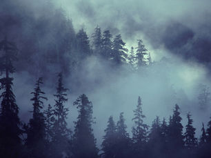 Exploring sustainable forestry and bioenergy practices: Lessons from IUFRO World Congress