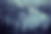 Forest Scene