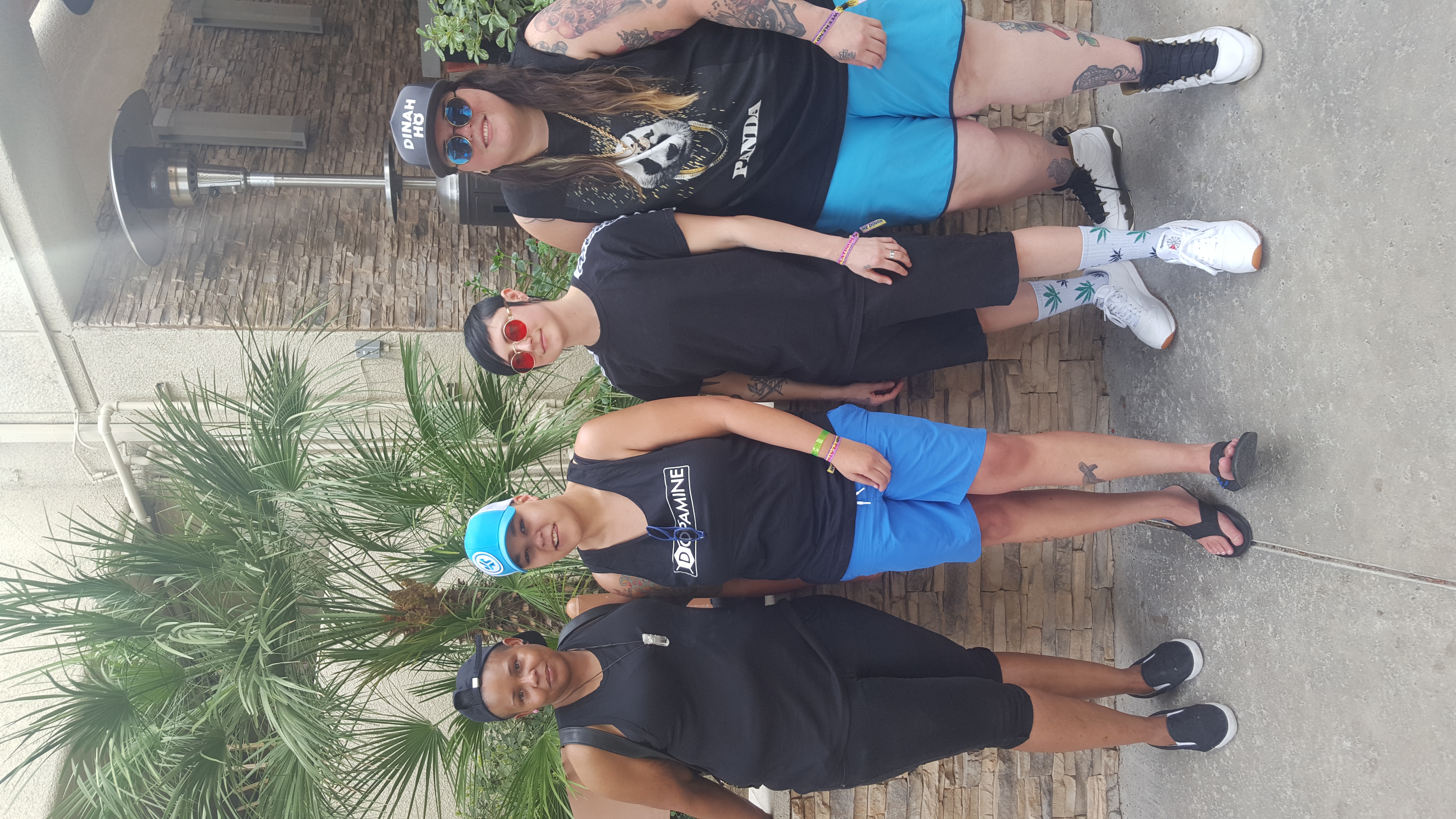 Dinah Shore DJ Comp 2018