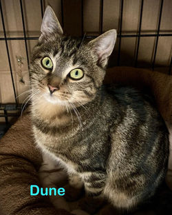 FB_IMG_1766856261272