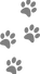 footprints-309158_edited_edited.png