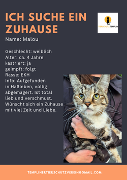 Malou_20260216_195641_0000