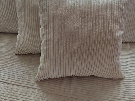Deux coussins sur un canapé
