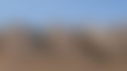 Architectural visualisation of the street elevation of a contemporary Emirati residence designed by TMD Studio. The façade presents a sequence of monolithic sand-toned volumes with curved corners and recessed entrances, creating a protective street edge while framing moments of transition into private gardens. Vertical ventilation shafts rise above the roofline, each perforated with patterned mashrabiya openings for airflow and light filtration. Palm trees and native vegetation soften the courtyard interiors, only partly visible from the street. A white SUV passes in front, emphasising scale and the house’s relationship to the desert road. The design illustrates cultural privacy, climatic resilience, and the reinterpretation of traditional Emirati thresholds within a modern architectural language.