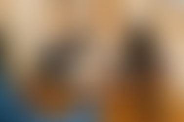 School Choice Disputes in Joint Custody Cases in Texas