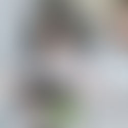 How to Separate Nonmarital Property From Marital Property in Texas