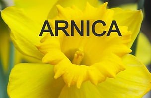 Arnica Bruising/Osteoarthritis cream