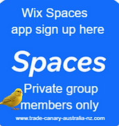 SPACES app download
