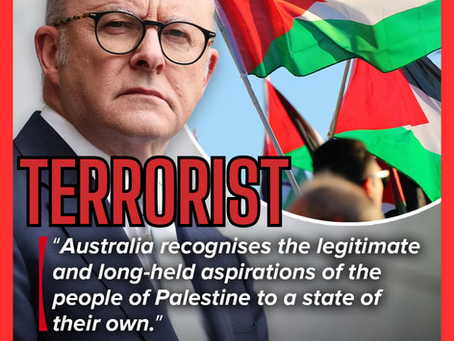 TERRORIST ALBANESE
