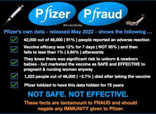 Pfizer 1223 dead not perfectly safe.jpeg