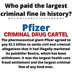 Pfizer Criminal Drug Cartel.jpeg