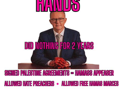 POEM ON ALBANESE MUST GO by Graham Healy 