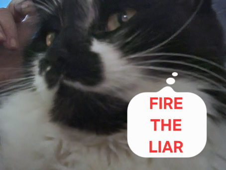 Now Kier Starmer has RESIGNED Max is already figgering out a way to FIRE THE LIAR 