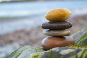 Deliberate Wellness