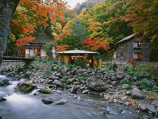 A house in the nature of Japan
