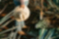 pexels-los-muertos-crew-10039965.jpg