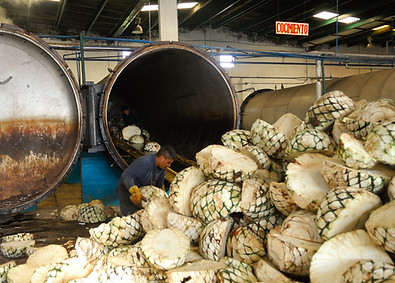 Destillerie Rio de Plata Agavenherzen Hacienda de Xalpa