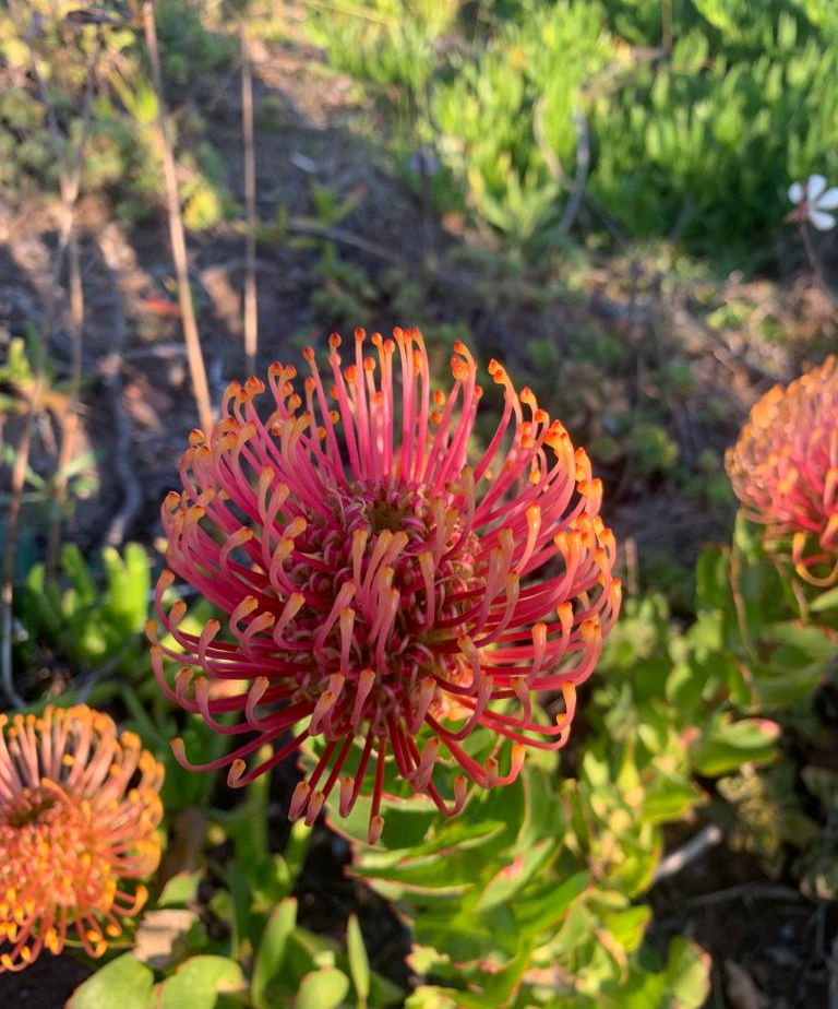 WhatsApp Image 2022-05-31 at 7.10.41 AM (1).jpeg