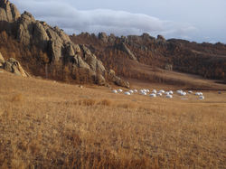 Gorkhi- Terelj National Park