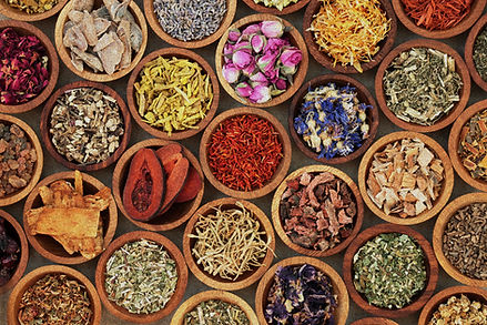 Herbs-Front-page-scaled_edited.jpg