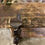 Thumbnail: Houten werkbank | werktafel | eiland keuken