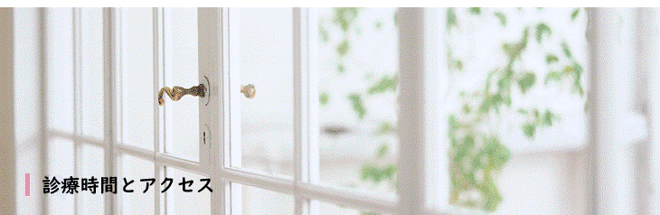 tittle_診療とアクセス.gif