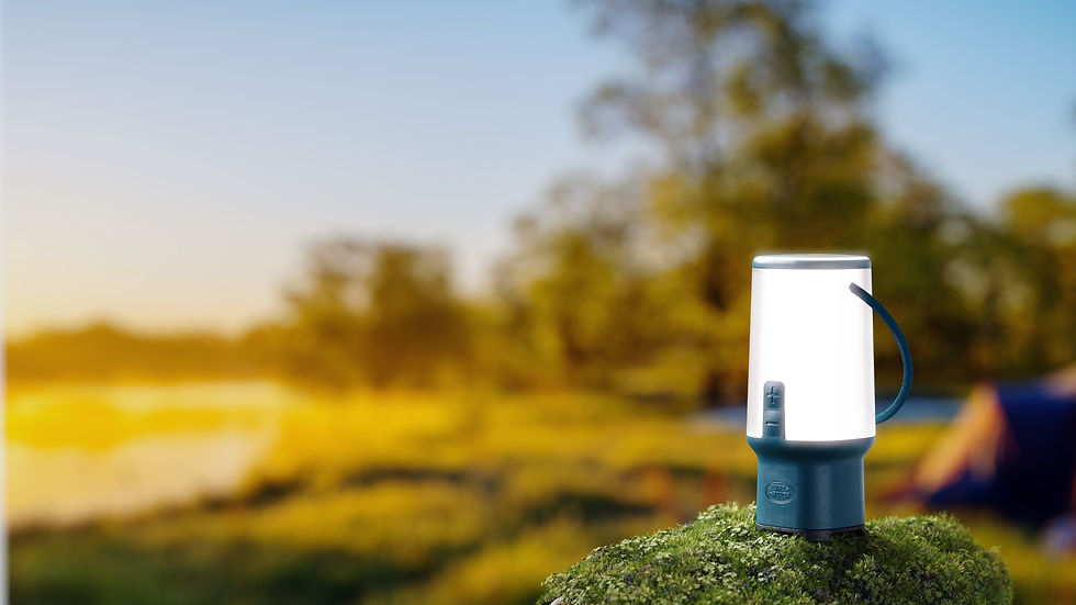 lamp on Grass 01.102.jpg