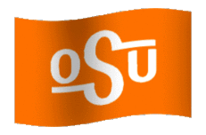 pokes_logo_flag.gif
