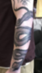 scakearm
