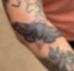 MOTH elbow
