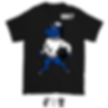 FSU T-Shirt (Fayetteville State)