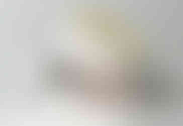 tica1010028842