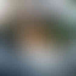 tc00240012469