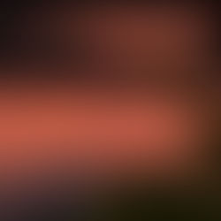 tc00420006163