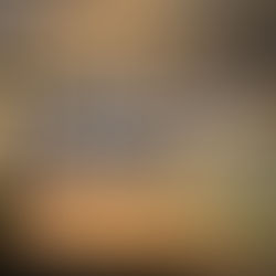 Good Friday Reflection: The One Who Ran Toward the Cross