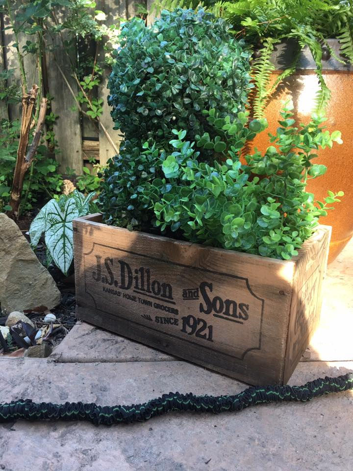 20032038_151420278762959_8762574976175153025_n