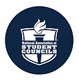 Kyle Willkom works with Student Council Associations