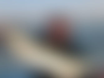 4月20日、湾内サゴシのはずだったが、、、