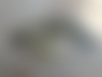 4月1日、湾内サワラ